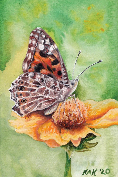 Butterfly III by KAK Art & Designs wall art