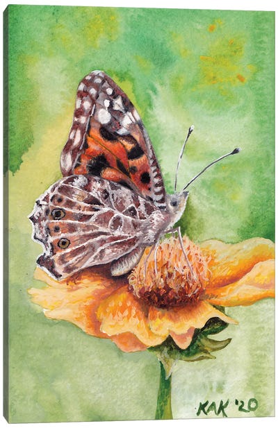 Butterfly III Canvas Art Print - KAK Art & Designs