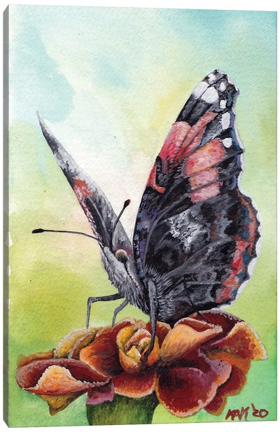 Butterfly IV Canvas Art Print - KAK Art & Designs