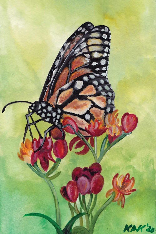 Butterfly V by KAK Art & Designs wall art