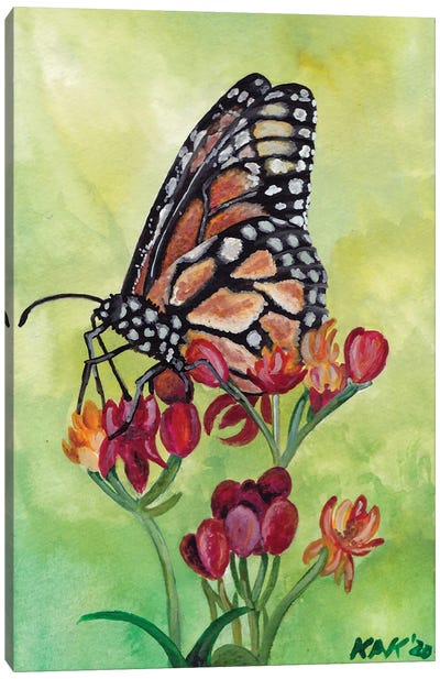 Butterfly V Canvas Art Print - Monarch Butterflies