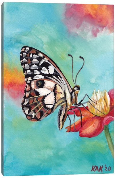Butterfly VI Canvas Art Print - KAK Art & Designs