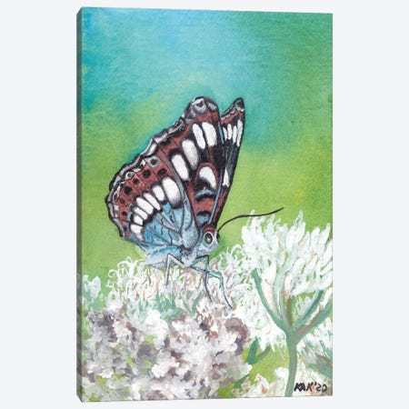 Butterfly VIII Canvas Print #KKD19} by KAK Art & Designs Canvas Wall Art