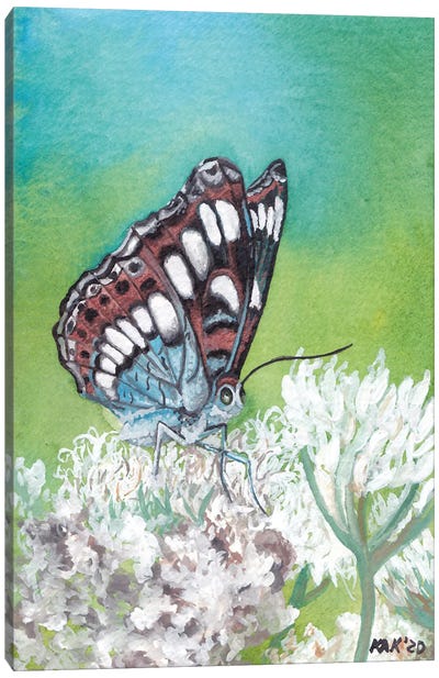 Butterfly VIII Canvas Art Print - KAK Art & Designs