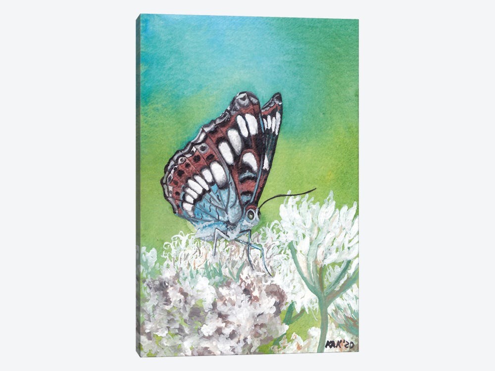 Butterfly VIII by KAK Art & Designs 1-piece Canvas Art