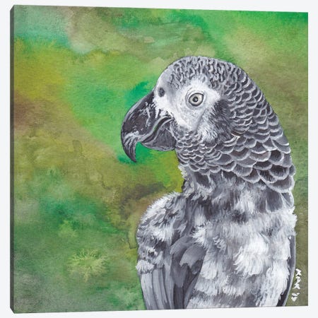 African Grey Parrot Canvas Print #KKD1} by KAK Art & Designs Canvas Art Print