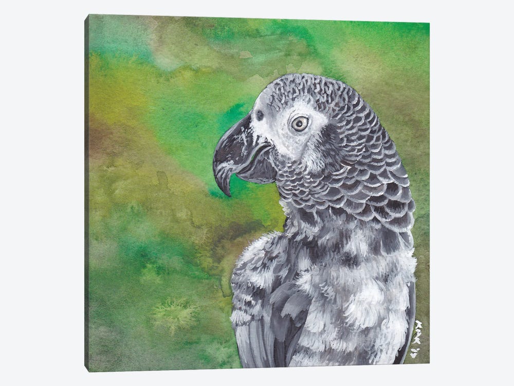 African Grey Parrot by KAK Art & Designs 1-piece Canvas Artwork