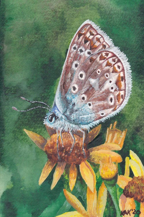 Butterfly IX by KAK Art & Designs wall art