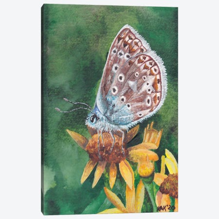 Butterfly IX Canvas Print #KKD20} by KAK Art & Designs Canvas Print