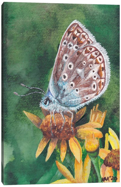 Butterfly IX Canvas Art Print - KAK Art & Designs