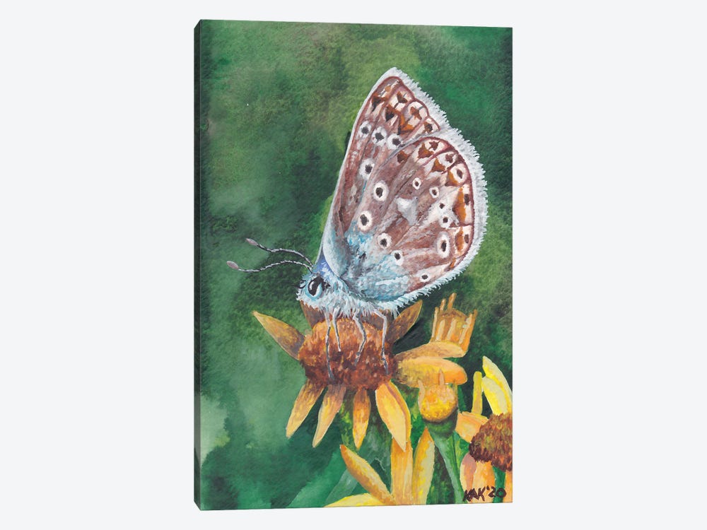 Butterfly IX by KAK Art & Designs 1-piece Canvas Wall Art