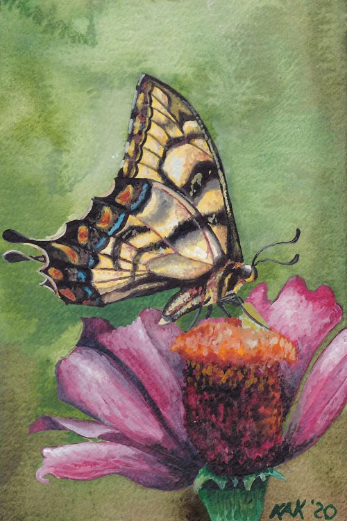 Butterfly X by KAK Art & Designs wall art