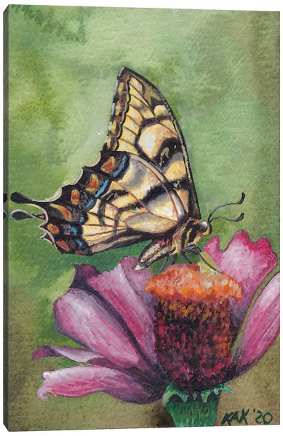 Butterfly X Canvas Art Print - KAK Art & Designs