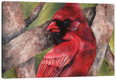 Cardinal I Canvas Art Print - KAK Art & Designs
