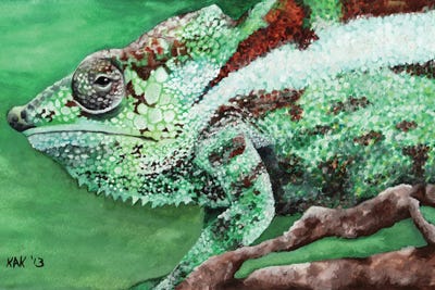 Chameleon by KAK Art & Designs framed wall art