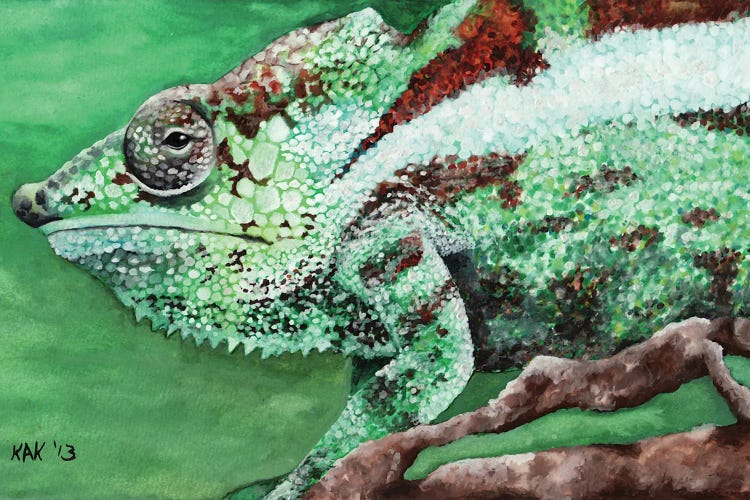 Chameleon