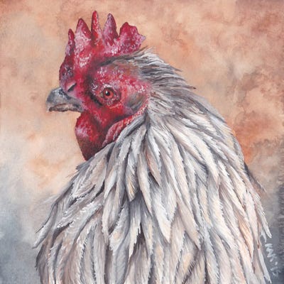 Rooster by KAK Art & Designs framed wall art