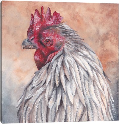 Rooster Canvas Art Print - KAK Art & Designs