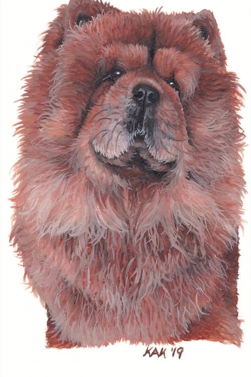 Chow Chow