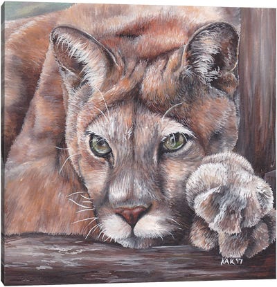 Cougar Canvas Art Print - KAK Art & Designs