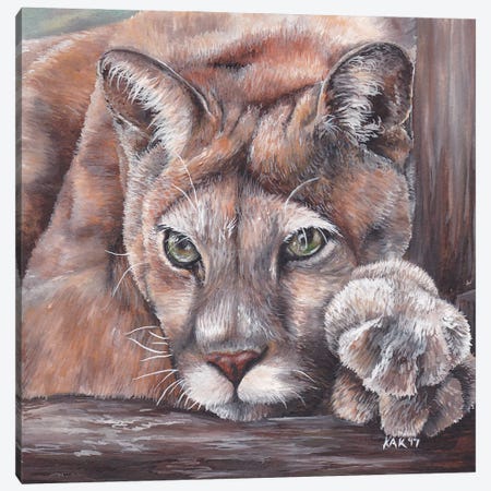 Cougar Canvas Print #KKD28} by KAK Art & Designs Canvas Art Print