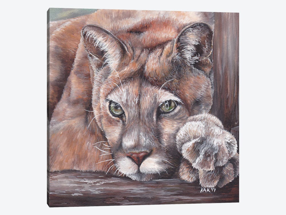 Cougar by KAK Art & Designs 1-piece Canvas Artwork