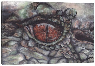 Alligator Eye Canvas Art Print - Crocodile & Alligator Art