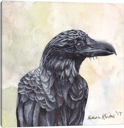 Crow Canvas Art Print - KAK Art & Designs