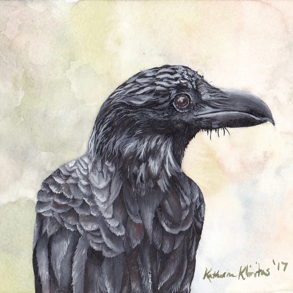 Crows: Crow by KAK Art & Designs