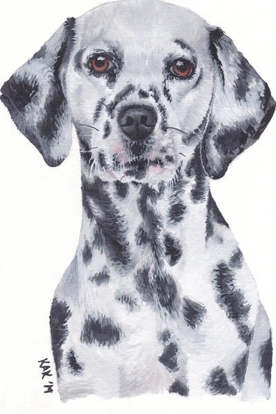 Dalmatian by KAK Art & Designs metal wall art