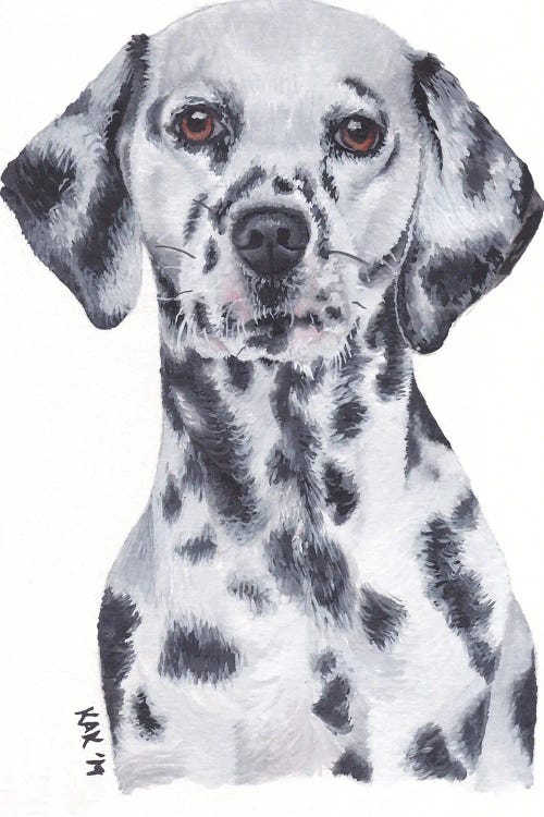 Dalmatian