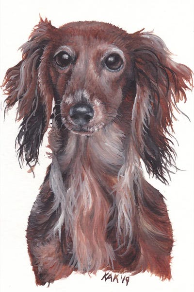 KAK Art & Designs: Dachshund by KAK Art & Designs