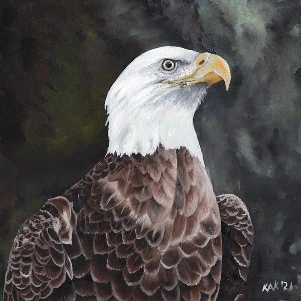 KAK Art & Designs: Eagle II by KAK Art & Designs