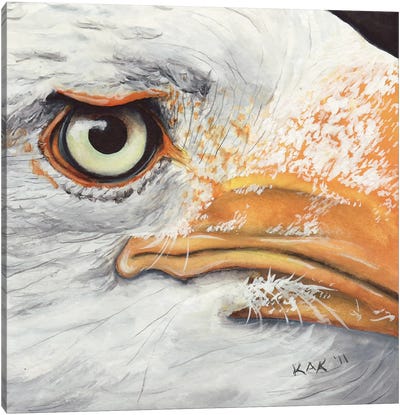 Eagle I Canvas Art Print - Eagle Art