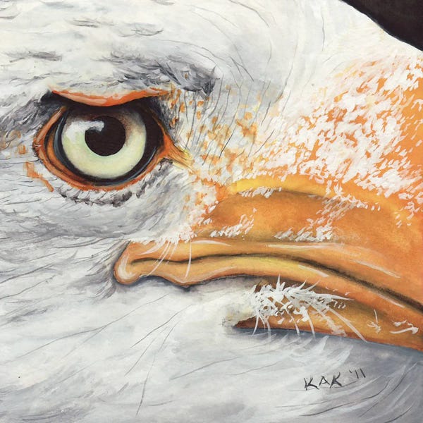 KAK Art & Designs: Eagle I by KAK Art & Designs
