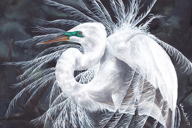 Egret Feathers