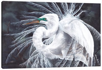 Egret Feathers Canvas Art Print - KAK Art & Designs