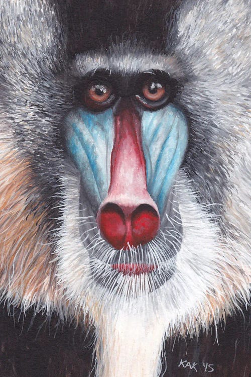 Mandrill