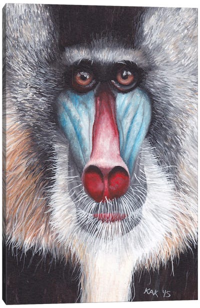 Mandrill Canvas Art Print - Monkey Art