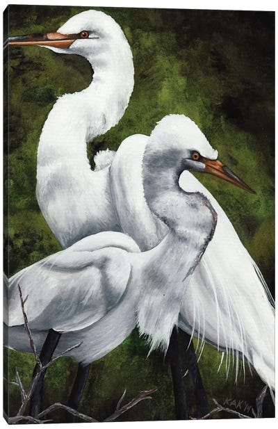 Egret Pair Canvas Art Print - Egret Art