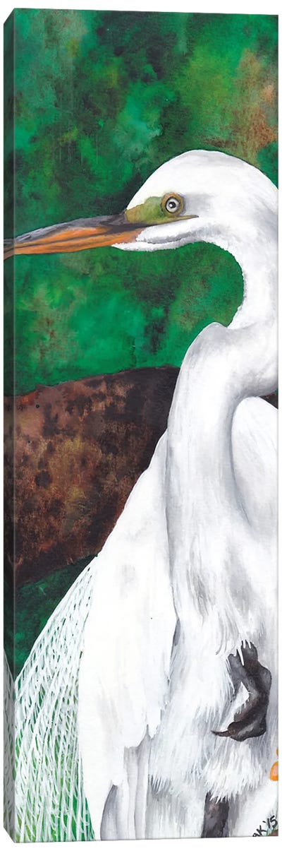 Egret Side Canvas Art Print - Egret Art