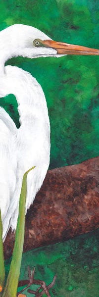 Egrets: Egret Looking by KAK Art & Designs
