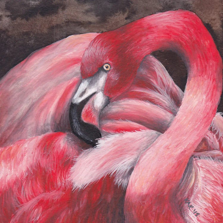 Flamingo I