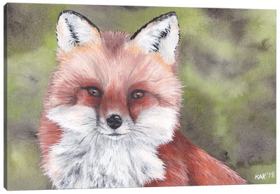 Fox Canvas Art Print - KAK Art & Designs