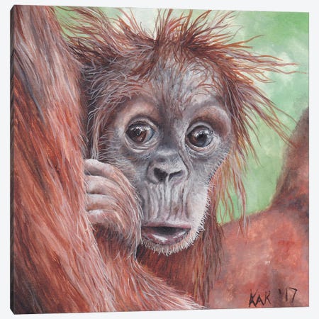 Baby Orangutan Canvas Print #KKD4} by KAK Art & Designs Canvas Artwork