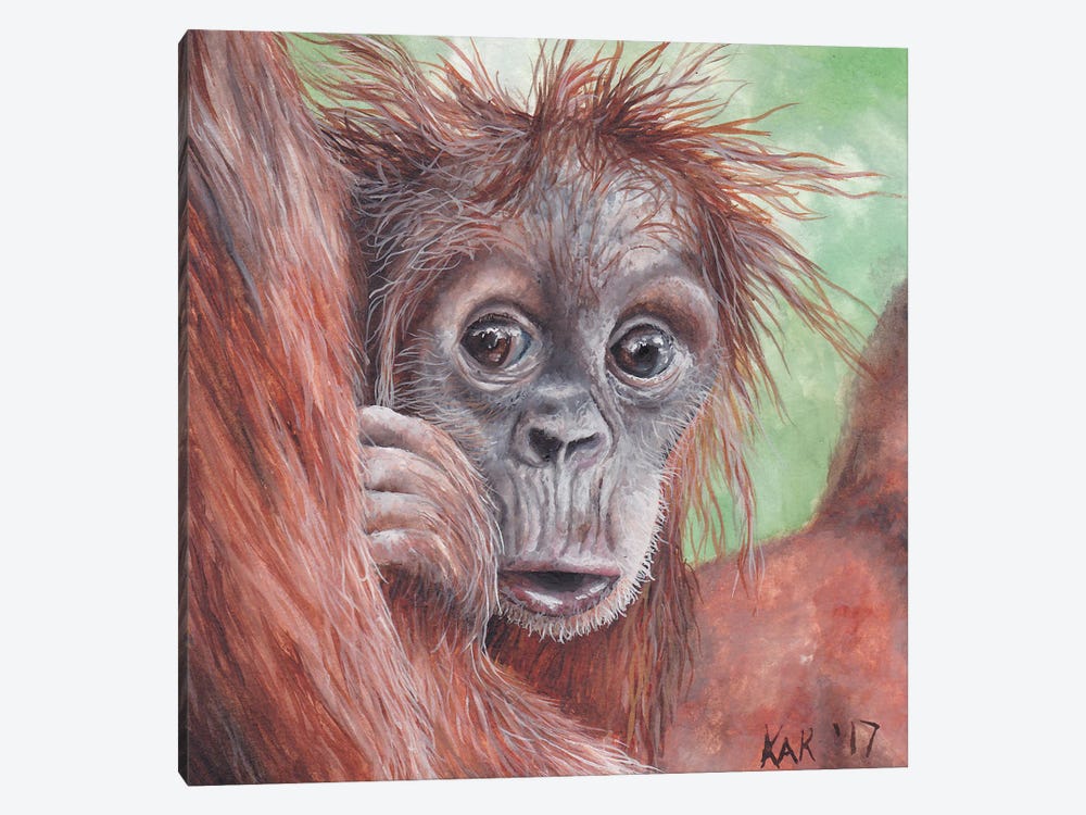 Baby Orangutan by KAK Art & Designs 1-piece Art Print
