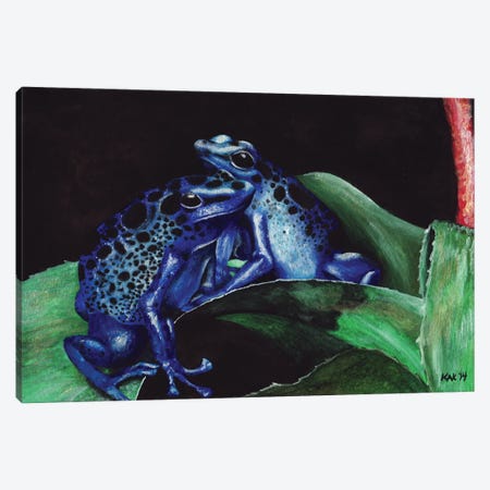 Dart Frogs Canvas Print #KKD50} by KAK Art & Designs Canvas Wall Art