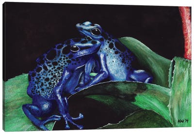Dart Frogs Canvas Art Print - Intricate Watercolors