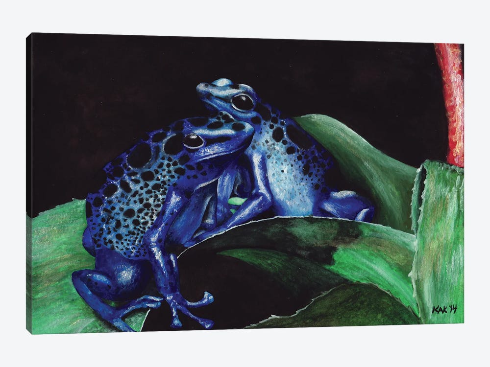 Dart Frogs by KAK Art & Designs 1-piece Canvas Art Print