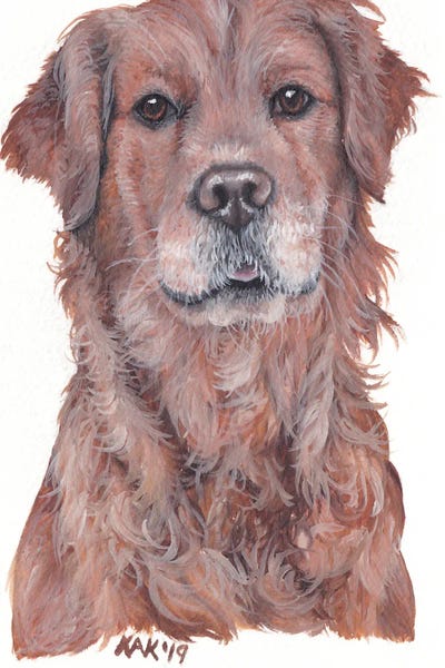 Golden Retrievers: Golden Retriever by KAK Art & Designs